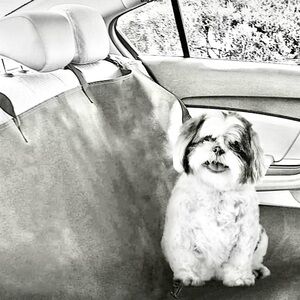 New in bag, Wishbone Hammock style back car seat pet protector, universal fit